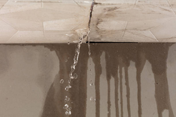 Professional Water Damage Inspection technician working in Marine On Saint Croix, MN